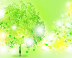 樹木葬の種類･費用･募集に関する基礎知識